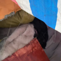 两吨多库存布料处理