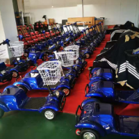 八十多辆库存休闲代步小电动车处理