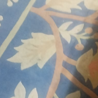 店里350平羊毛地毯处理